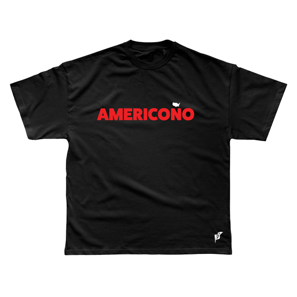 【 PROJECT】25SS★ Hallabong T-shirt americono_grande.jpg?v=1751396532