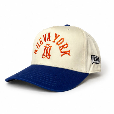 AMAZING ÑY ARC 5 PANEL CAP